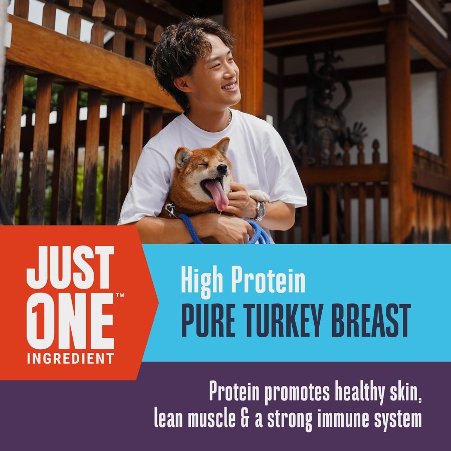 Whole Life Dog Just One Turkey - Food And Snacks High In Protein review and price