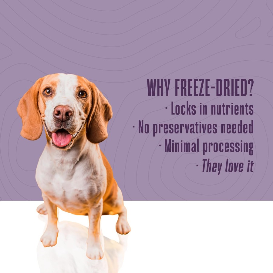 Whole Life Dog Just One Turkey - Food And Snacks High In Protein review and price