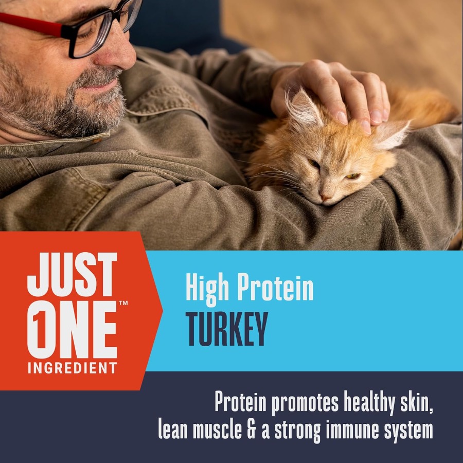 Whole Life Cat Just One Turkey - Food And Snacks High In Protein review and price