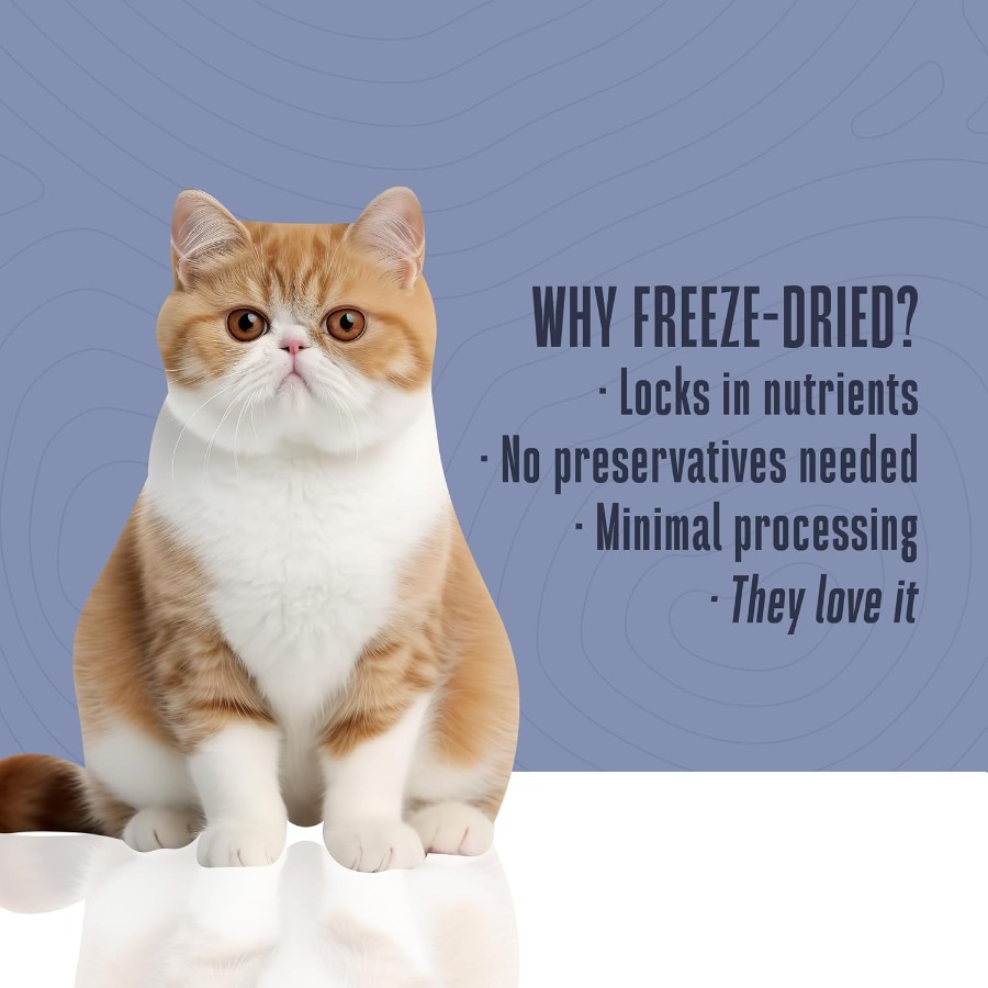 Whole Life Cat Just One Turkey - Food And Snacks High In Protein review and price