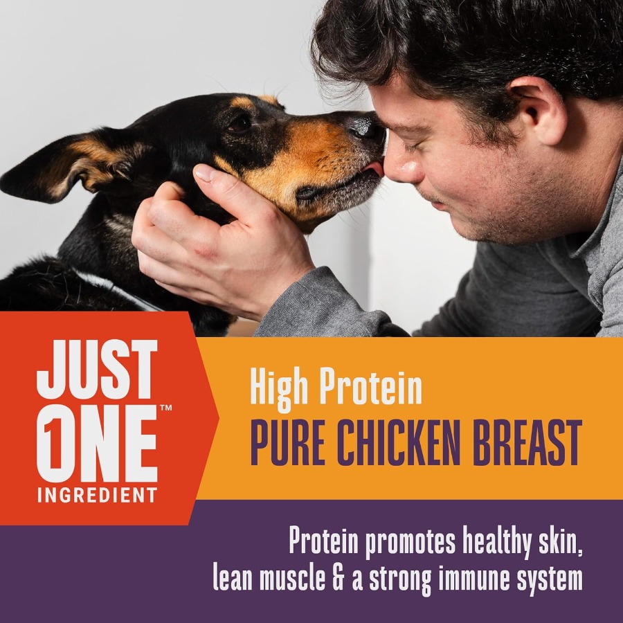 Whole Life Dog Just One Chicke - Food And Snacks High In Protein review and price