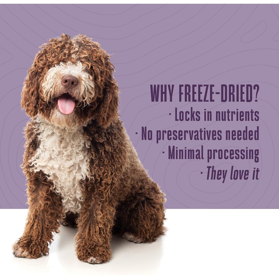 Whole Life Dog Just One Chicke - Food And Snacks High In Protein review and price